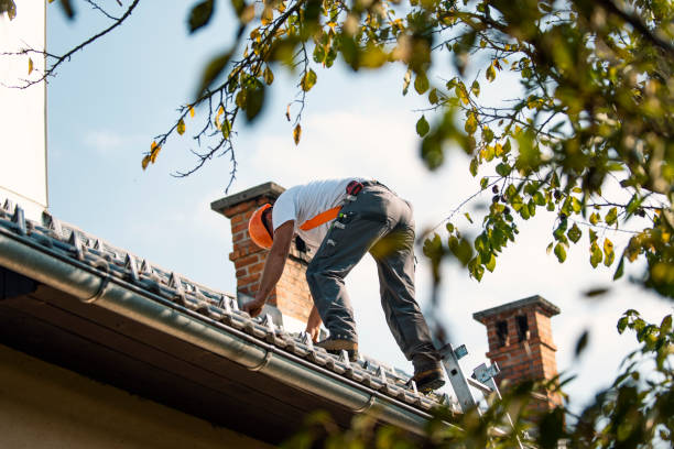 Best Roof Gutter Cleaning  in Gig Harbor, WA