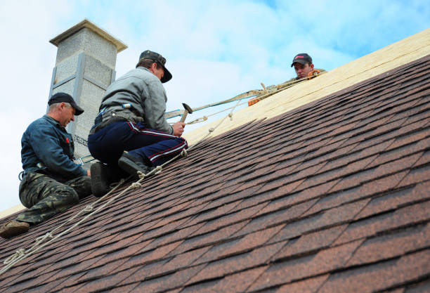 Quick and Trustworthy Emergency Roof Repair Services in Gig Harbor, WA